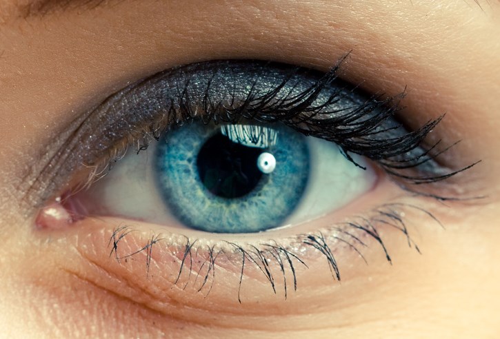 schéma oeil