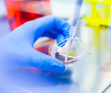 Culture Cellulaire- Institut de la Vision - Valérie-Forster-GuideVue