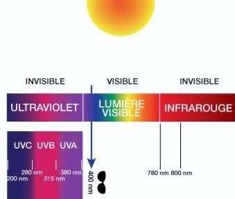 schéma du spectre lumineux UV infrarouges