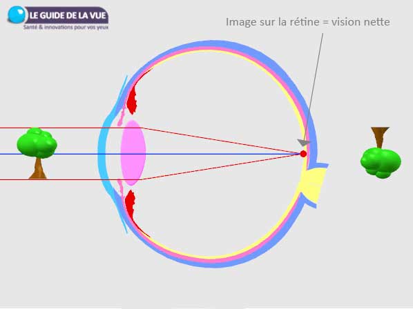 schéma axe optique