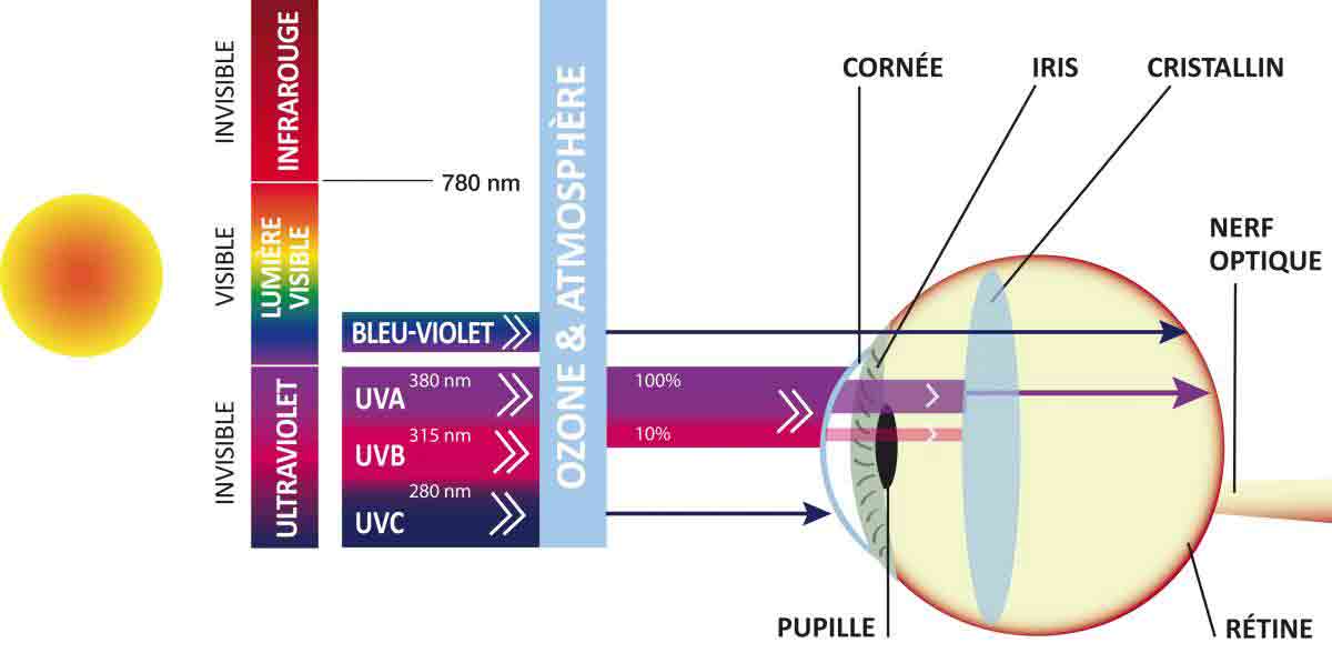 protéger yeux UV soleil