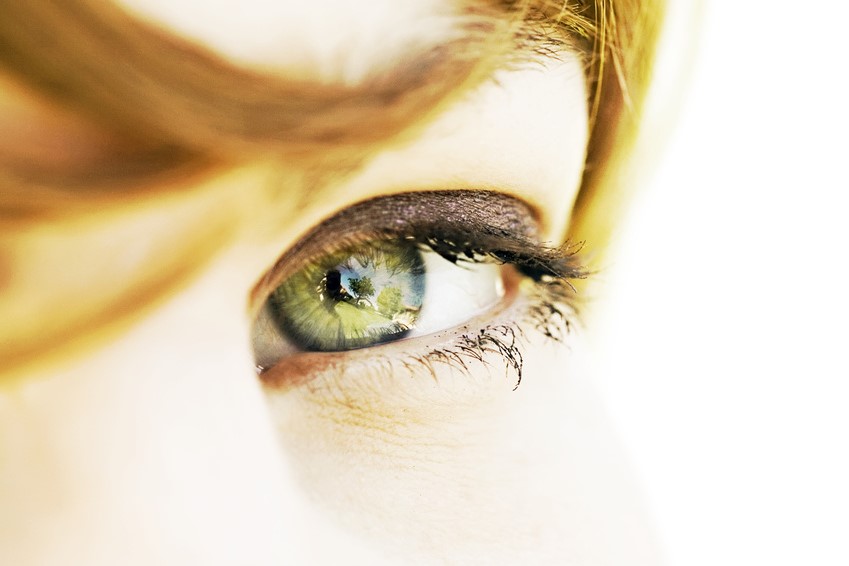 Guide-Vue.fr & Lunettes-Galerie.com