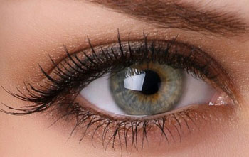 oeil myope