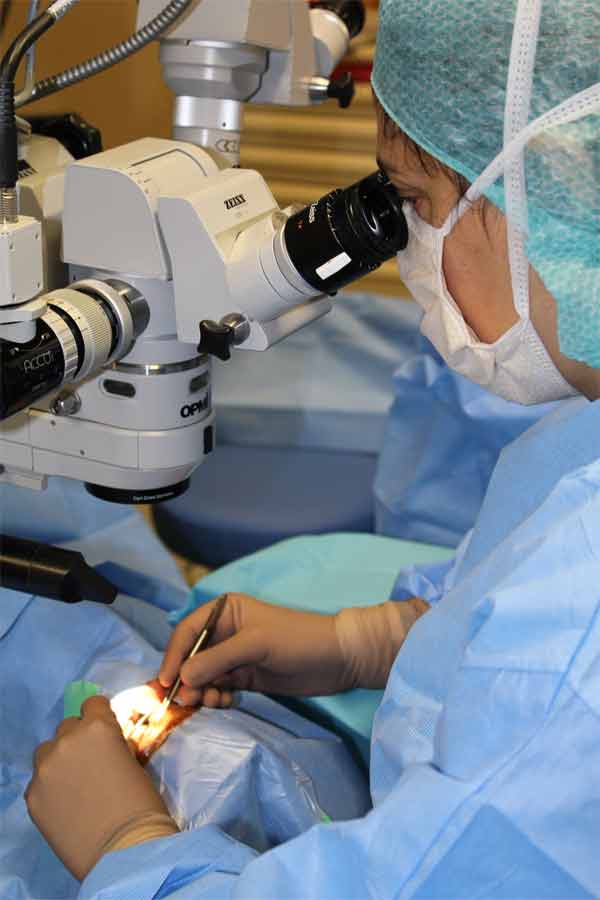 Opération par la Pr Dominique Bremond-Gignac. © Photographe APHP