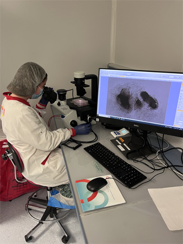 © Sacha Reichman. Institut de la Vision