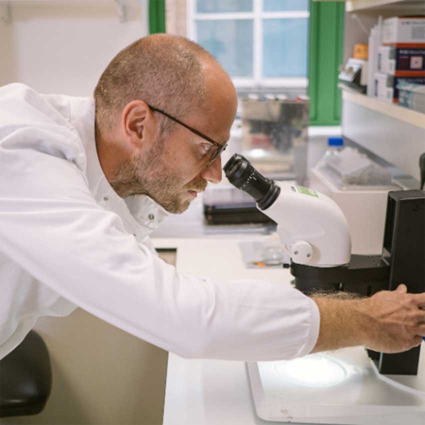 Institut d'ophtalmologie de l'UCL/Moorfields Eye Hospital ©DR