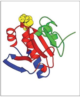 Modèle structurel du RdCVF