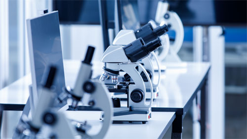 Thérapie cellulaire