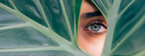 bienvenue opticien (1)